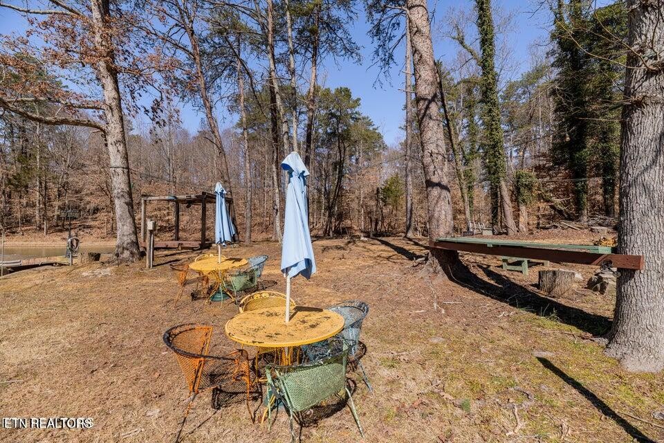 112 Victoria Road Kingston, TN 37763 - Photo 45 of 56 Gallery Image 45