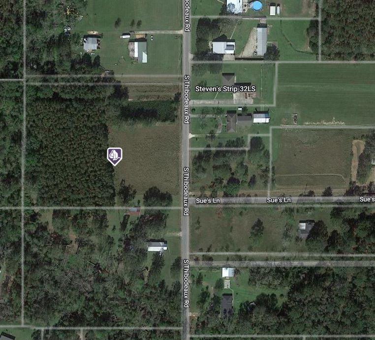 39105 South Thibodeaux Road Ponchatoula, LA 70454 - Photo 1 of 3 Gallery Image 1