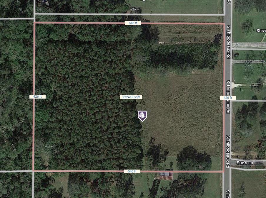 39105 South Thibodeaux Road Ponchatoula, LA 70454 - Photo 3 of 3 Gallery Image 3