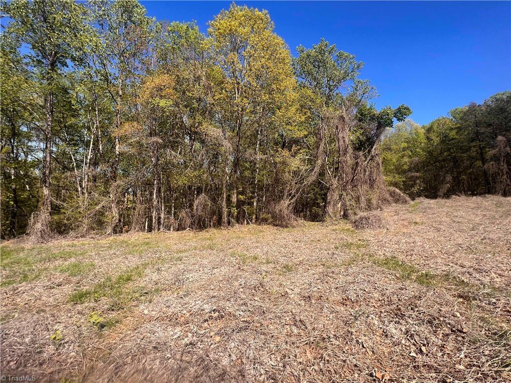 29 Burton Road Reidsville, NC 27320 - Photo 21 of 48