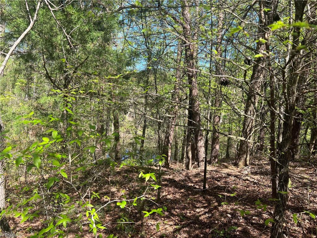 29 Burton Road Reidsville, NC 27320 - Photo 23 of 48