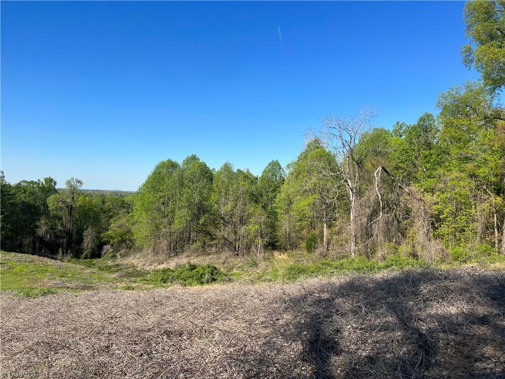 29 Burton Road Reidsville, NC 27320 - Photo 28 of 48