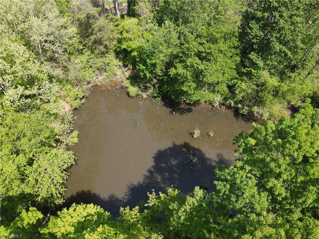 29 Burton Road Reidsville, NC 27320 - Photo 8 of 48