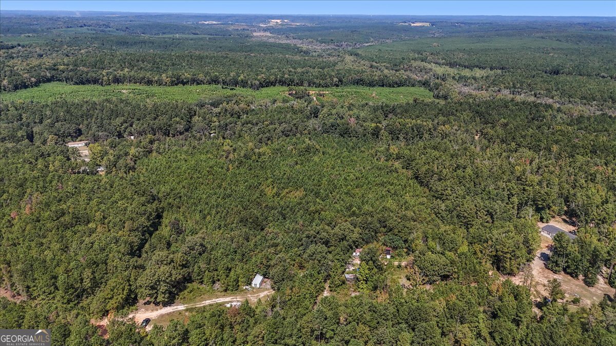 0 Mountain Springs Road Macon, GA 31217 - Photo 14 of 20 a view of a lush green forest with a lush green forest