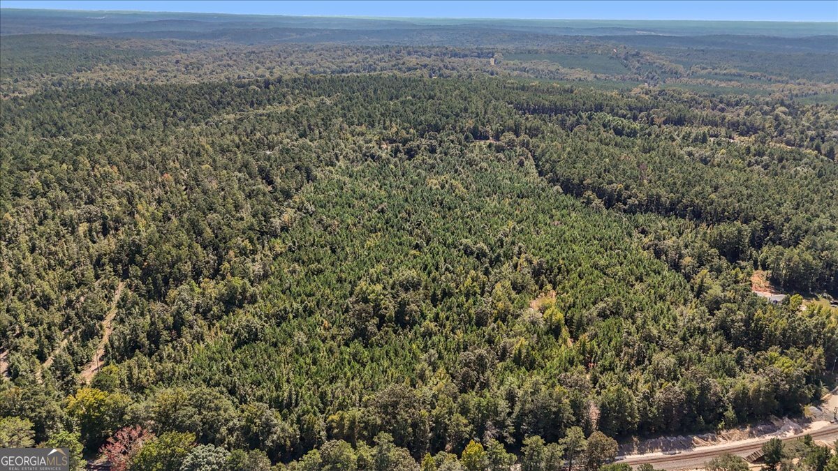 0 Mountain Springs Road Macon, GA 31217 - Photo 15 of 20 a view of a big yard with houses