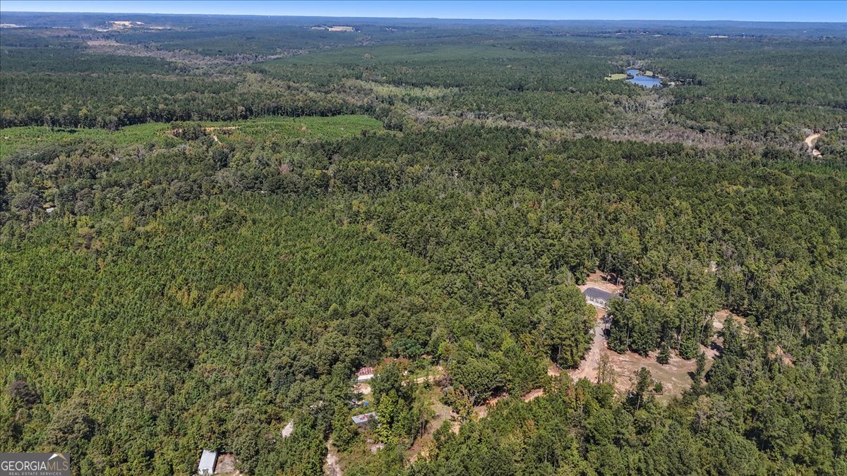 0 Mountain Springs Road Macon, GA 31217 - Photo 17 of 20 a view of a green field with lots of bushes