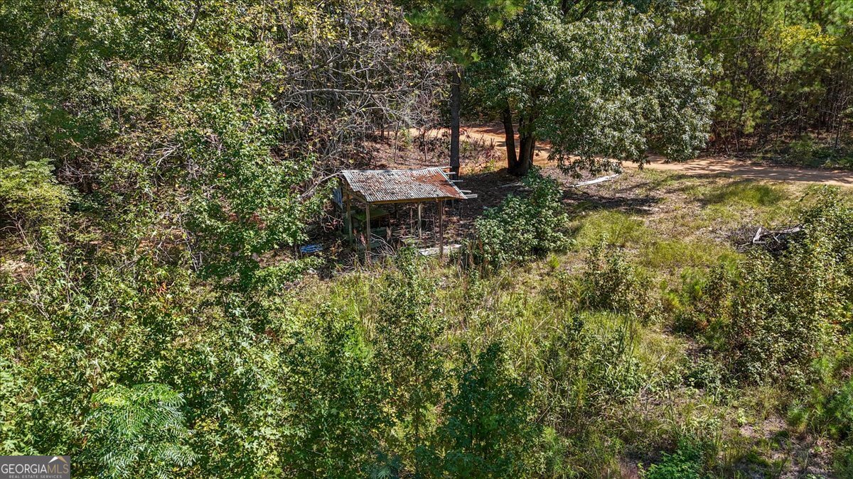 0 Mountain Springs Road Macon, GA 31217 - Photo 20 of 20 a view of a yard in a forest