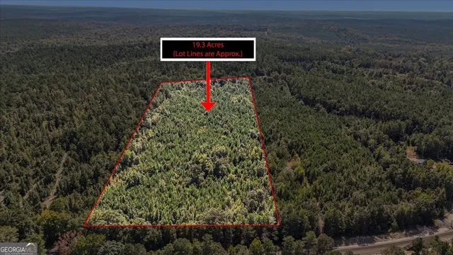 a close up of a plant