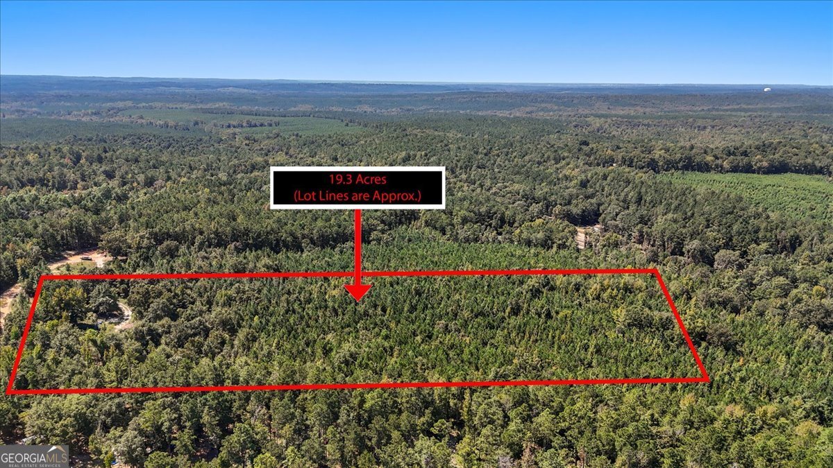 0 Mountain Springs Road Macon, GA 31217 - Photo 7 of 20 a view of a bunch of flowers