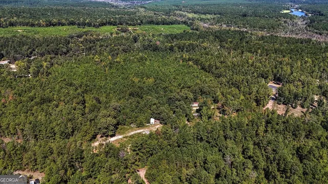 a view of a forest with a houses