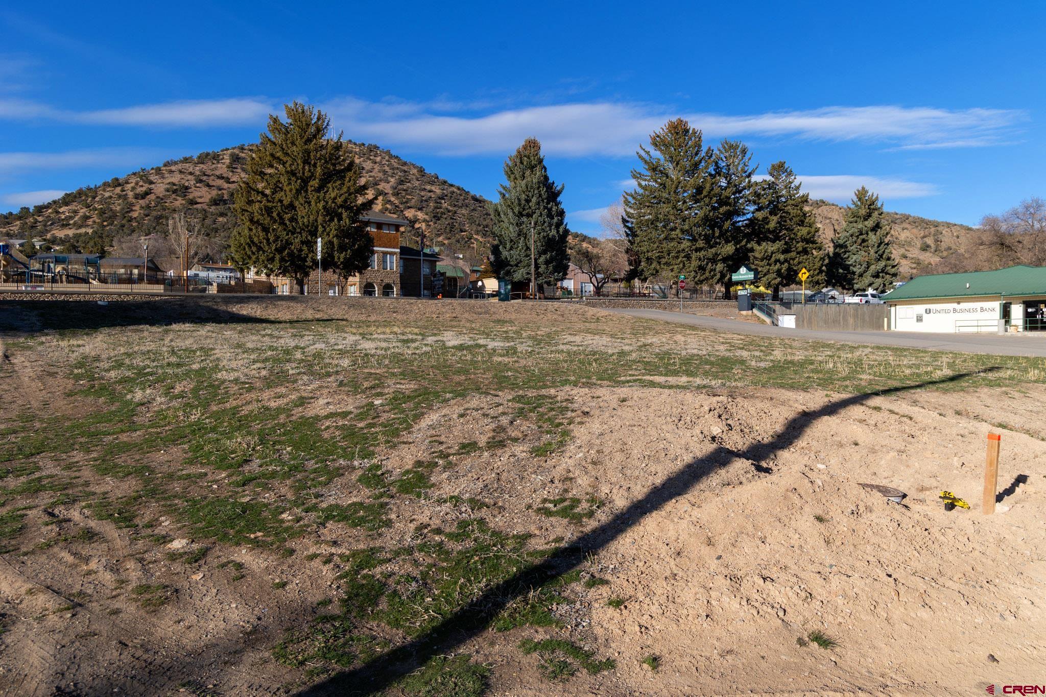410 Highway 92 Crawford, CO 81415 - Photo 7 of 14 a view of a yard with a tree