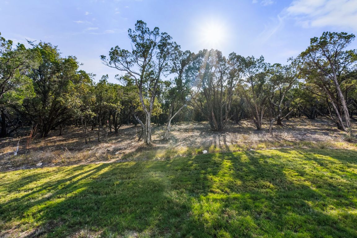 4612 Destination Way Jonestown, TX 78645 - Photo 15 of 37 a backyard of a house with lots of green space