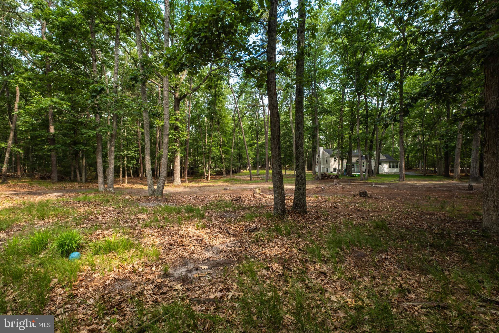 634 Tabernacle Road Medford, NJ 08055 - Photo 38 of 46 a view of outdoor space with trees