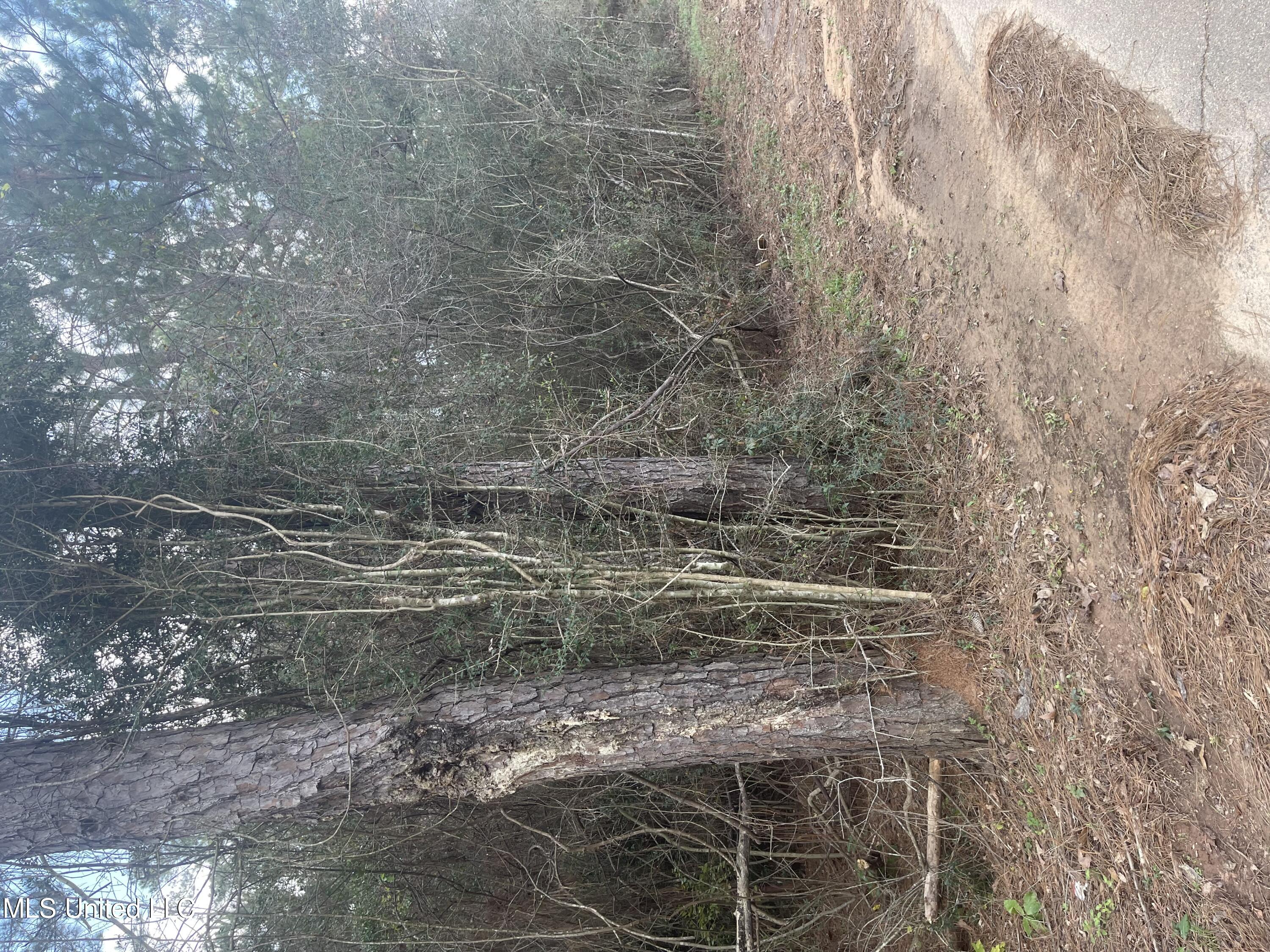 2 acres wooded land