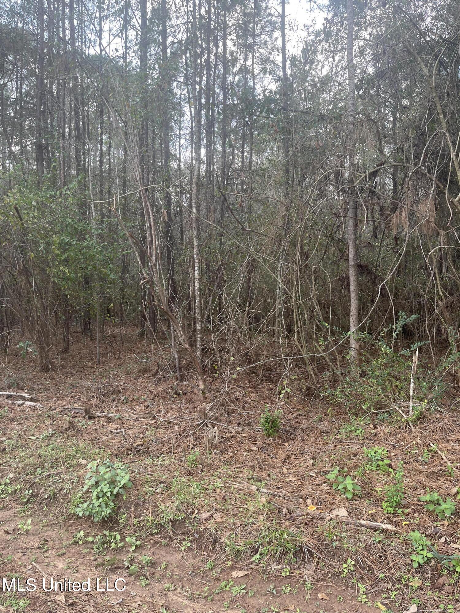 27224 Hugh Lee Road Picayune, MS 39466 - Photo 2 of 5 IMG_3185
