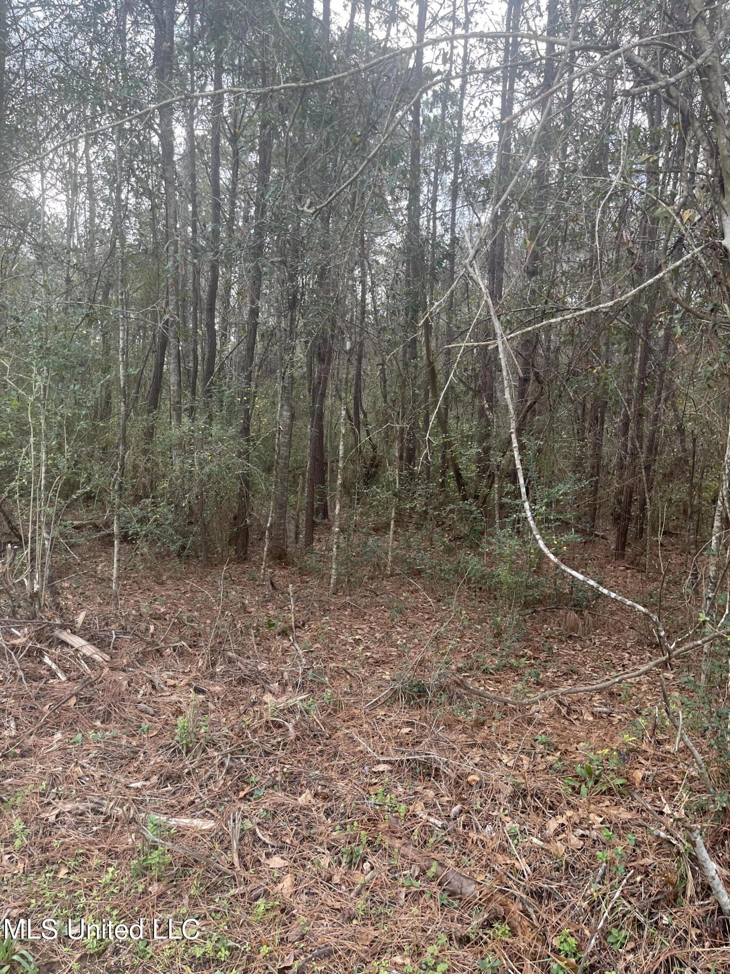 27224 Hugh Lee Road Picayune, MS 39466 - Photo 3 of 5 IMG_3186