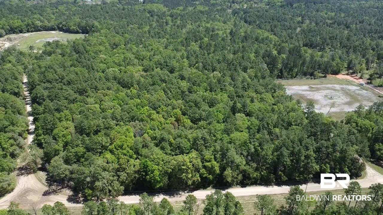 0 I-65 Service Road Creola, AL 36525 - Photo 6 of 20 Bird's eye view featuring a view of trees