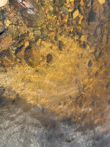 $544,500 | 6476 Cypress Lane, Gilbert, MN 55741