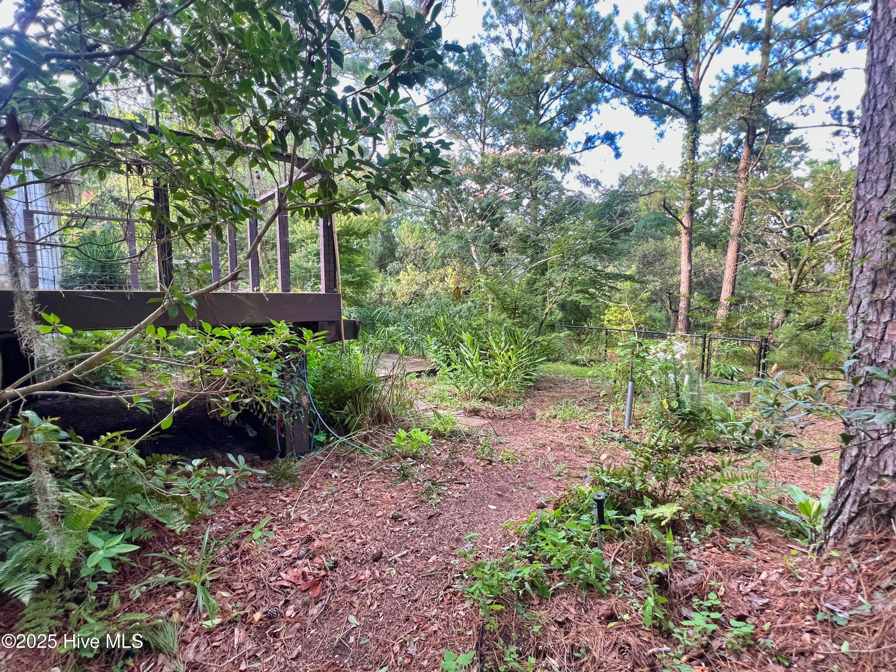 318 Buccaneer Road Wilmington, NC 28409 - Photo 37 of 64 (50) Backyard