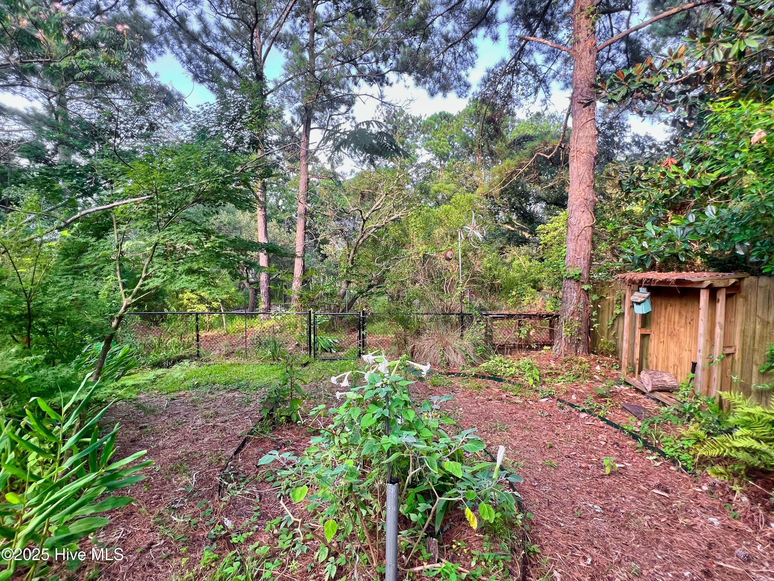 318 Buccaneer Road Wilmington, NC 28409 - Photo 38 of 64 (51) Backyard