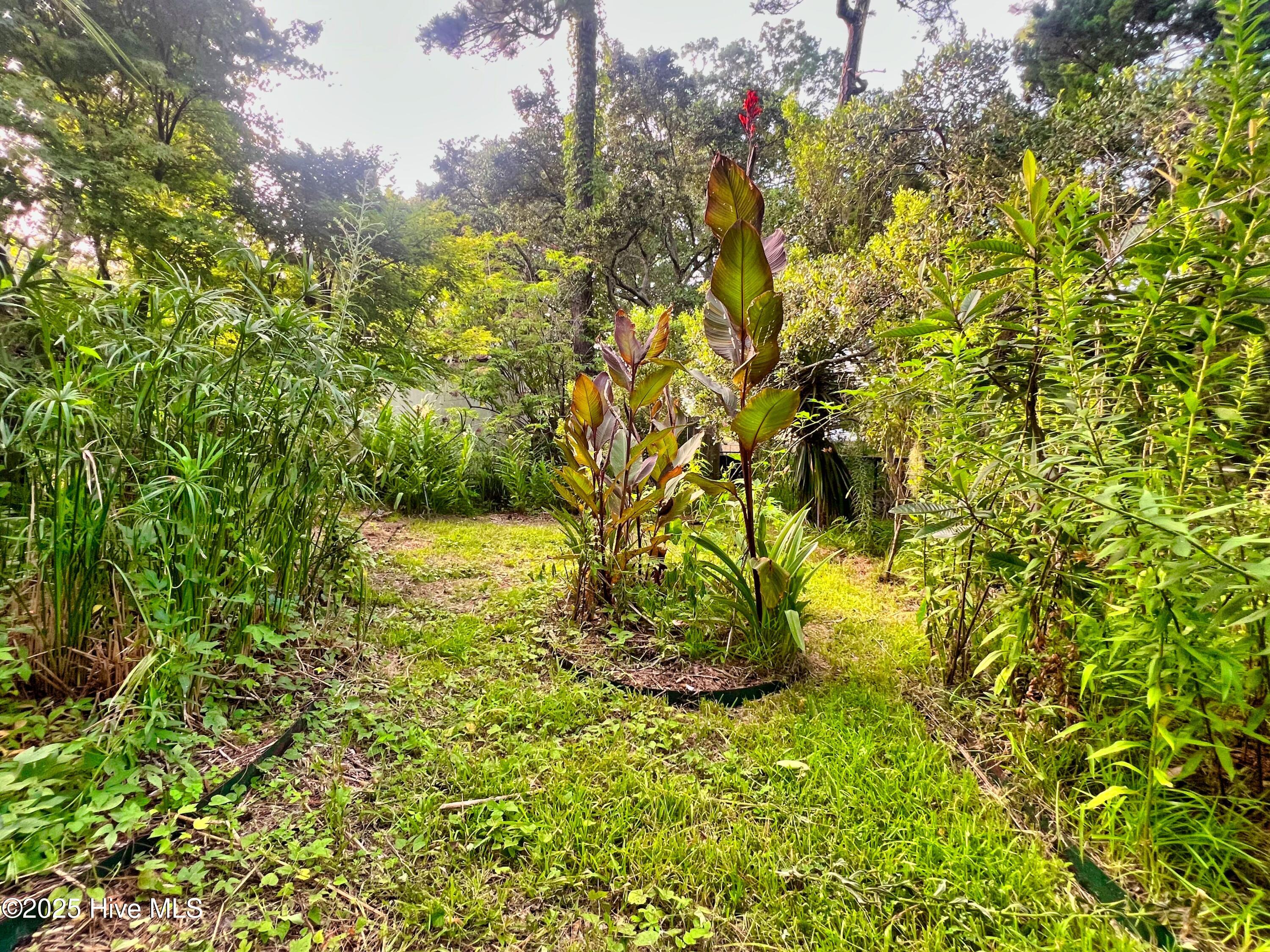 318 Buccaneer Road Wilmington, NC 28409 - Photo 41 of 64 (55) Backyard