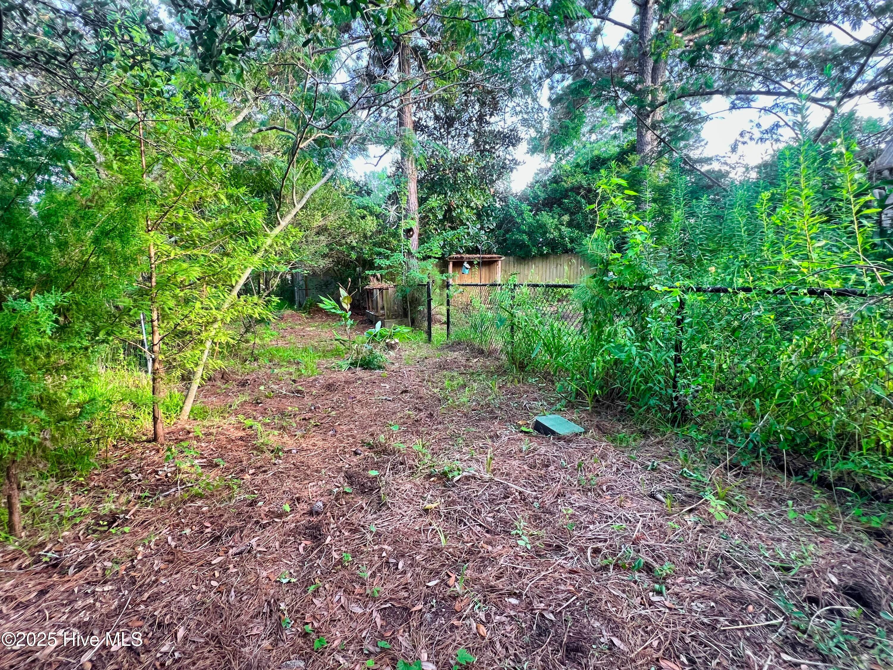318 Buccaneer Road Wilmington, NC 28409 - Photo 43 of 64 (57) Back Fence to Water Access