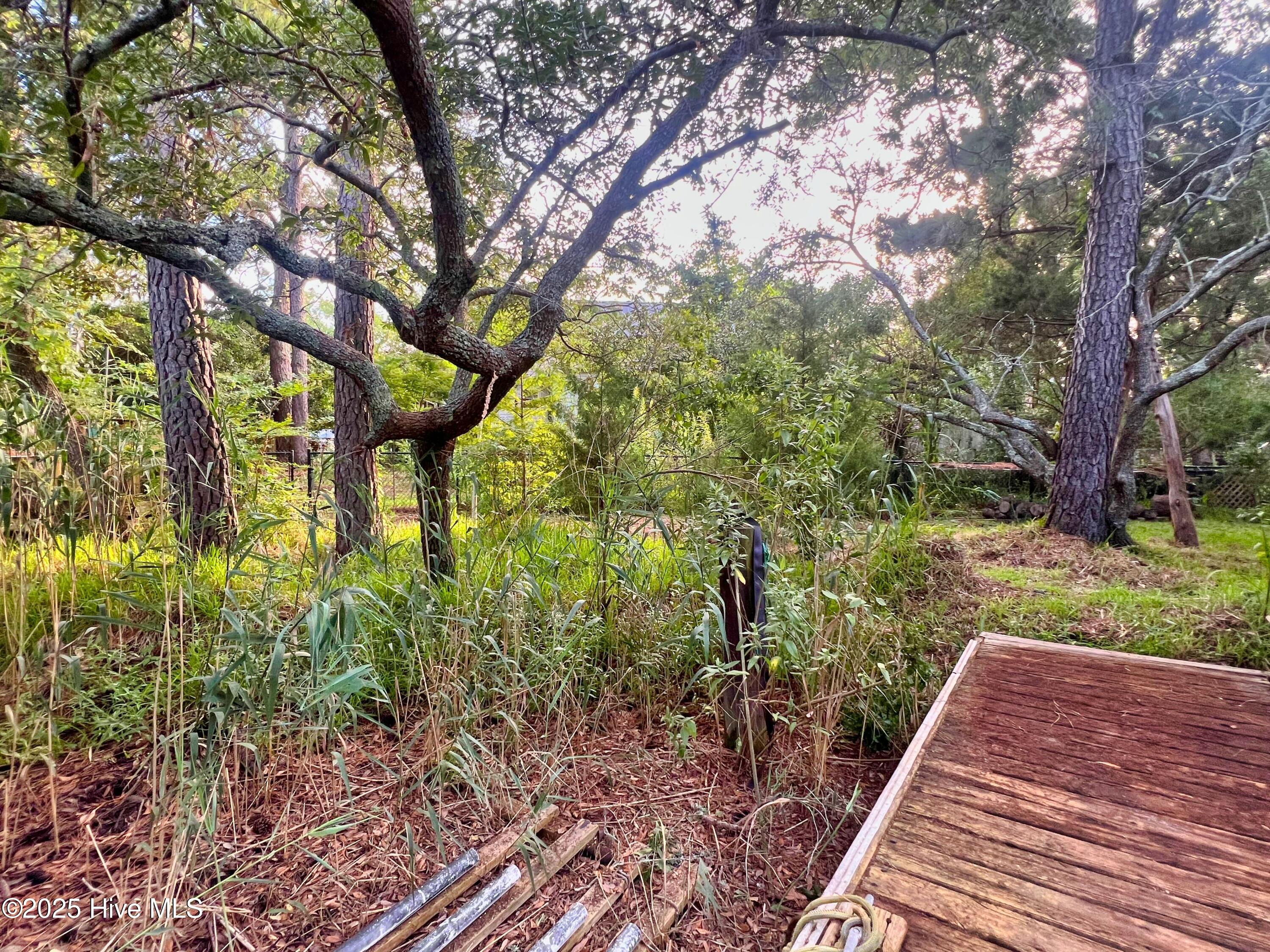 318 Buccaneer Road Wilmington, NC 28409 - Photo 45 of 64 (59) Dock