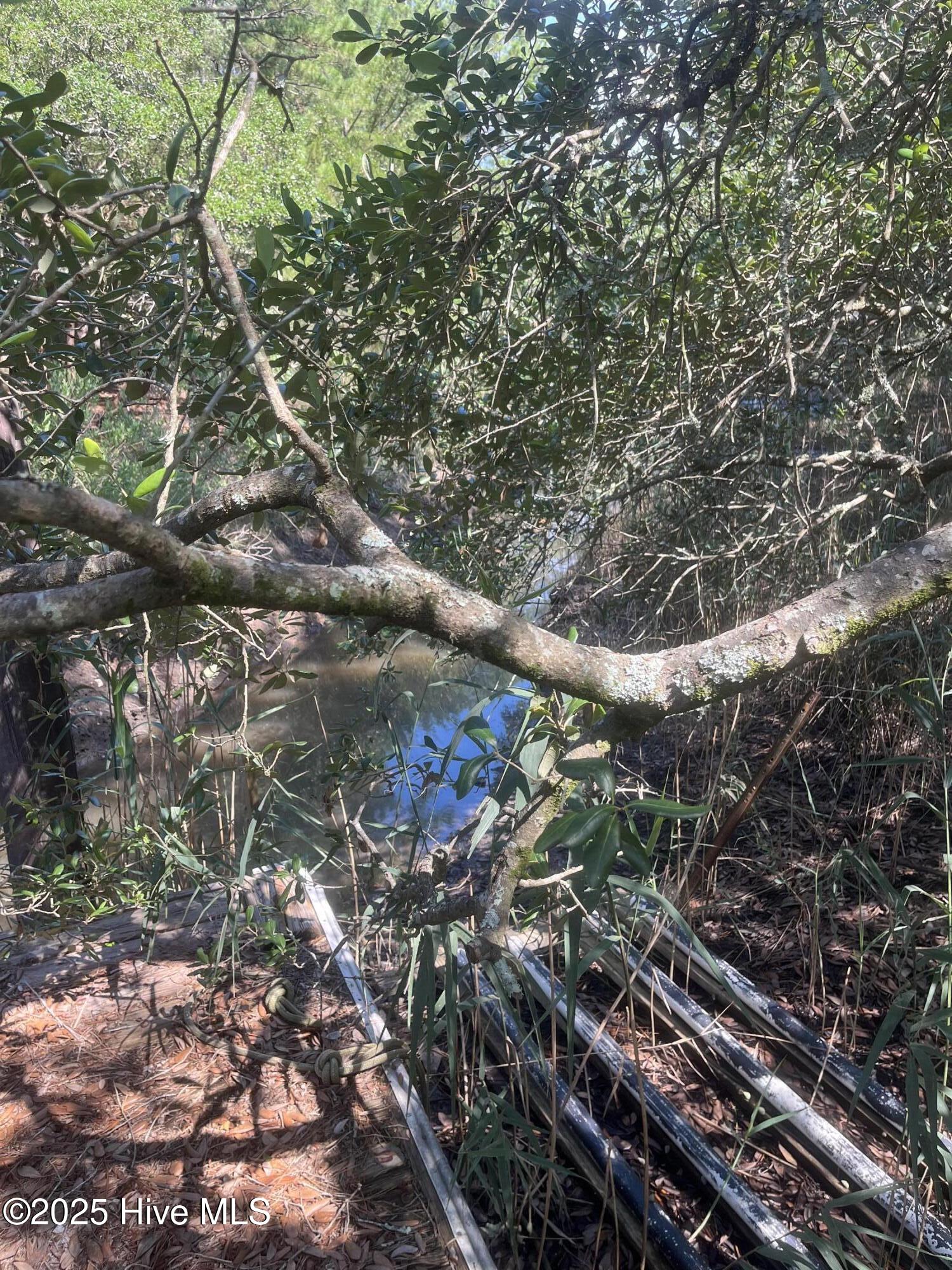 318 Buccaneer Road Wilmington, NC 28409 - Photo 48 of 64 IMG_5795