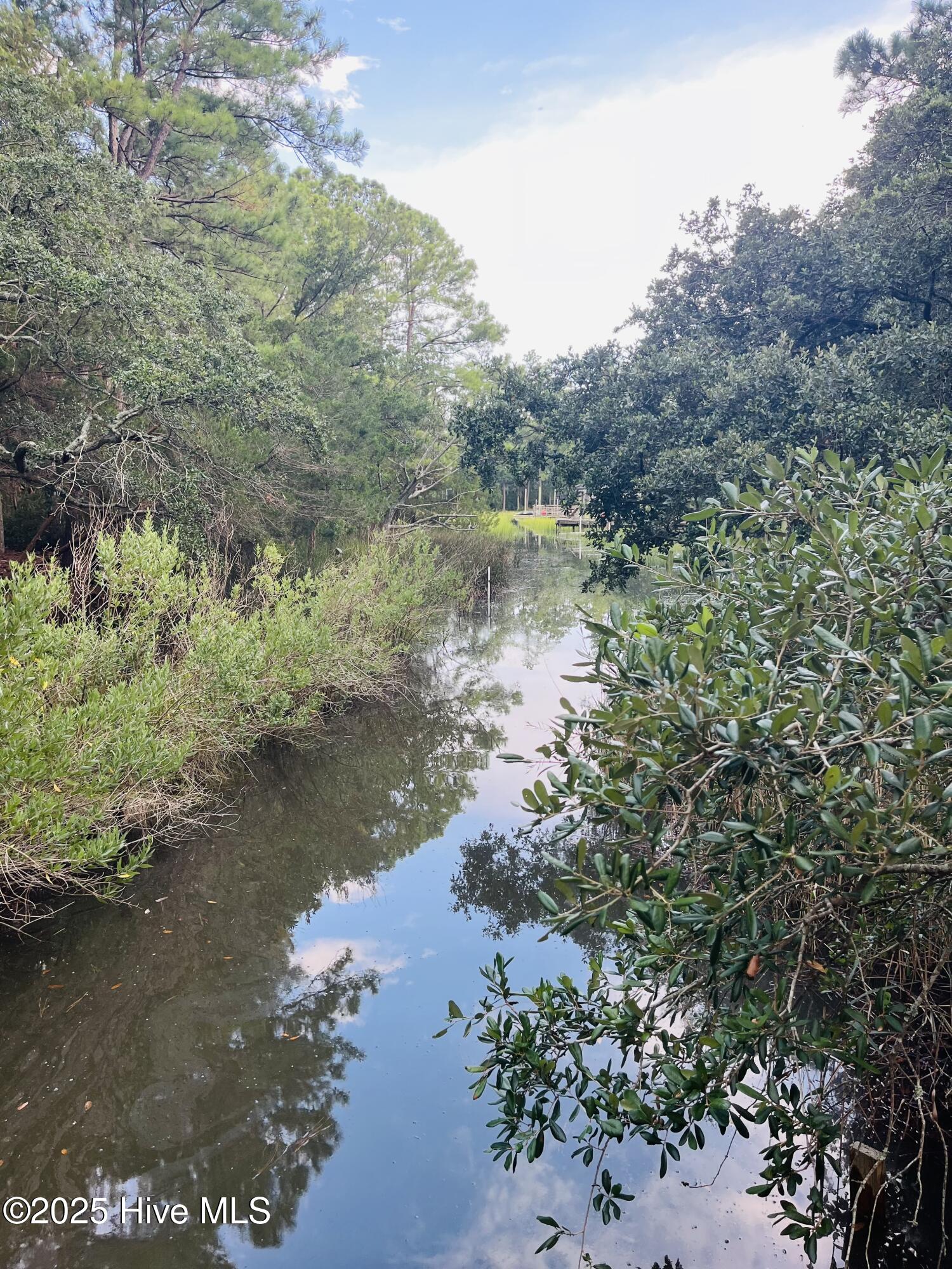 318 Buccaneer Road Wilmington, NC 28409 - Photo 49 of 64 IMG_5962