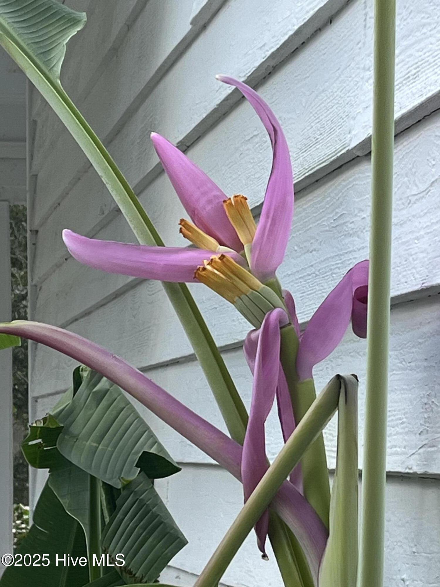 318 Buccaneer Road Wilmington, NC 28409 - Photo 51 of 64 IMG_5886