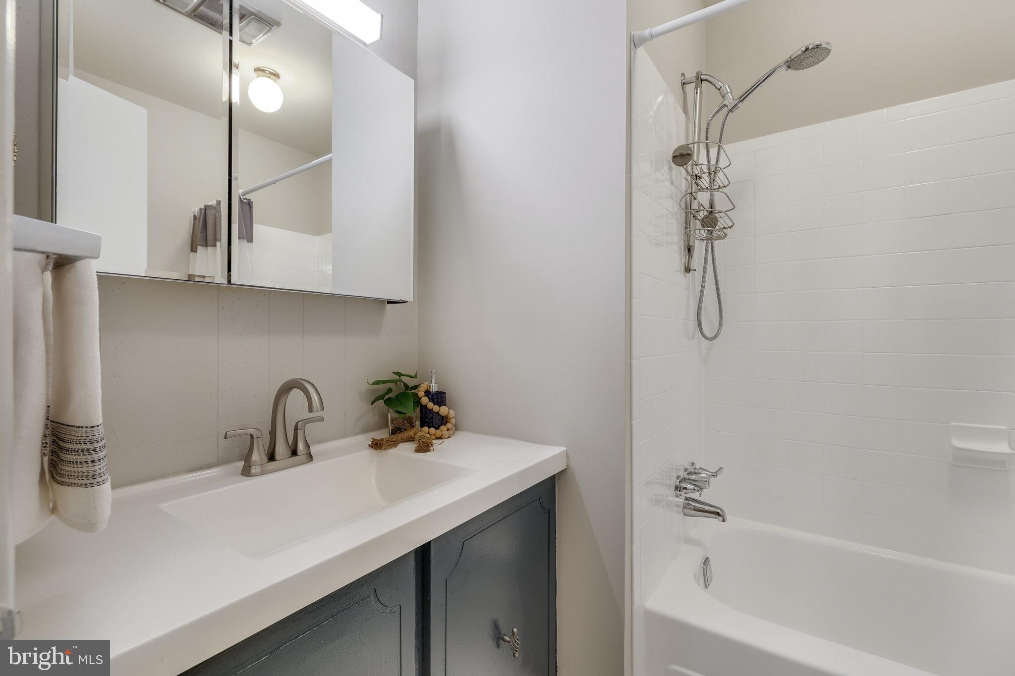 1320 Deep Run Lane Reston, VA 20190 - Photo 21 of 56 Hall Bath
