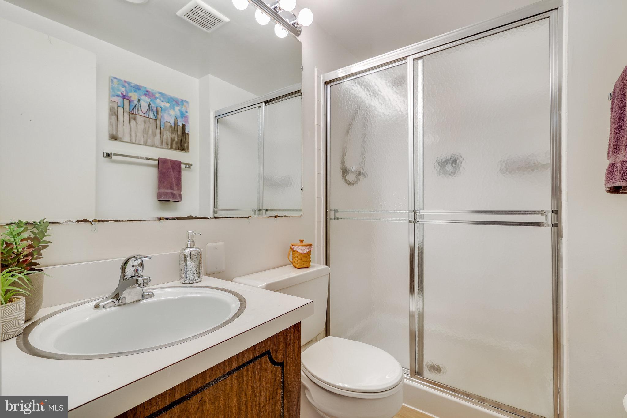 1320 Deep Run Lane Reston, VA 20190 - Photo 41 of 56 LL Full Bath