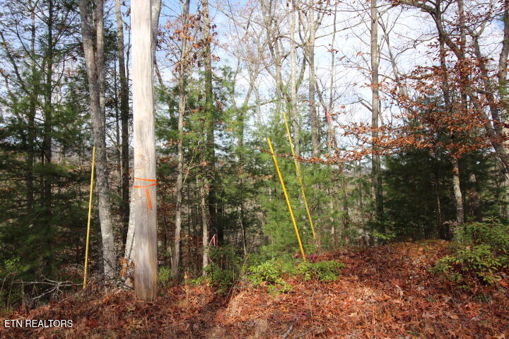 Lot 6 Taylors Ridge( Journeys End) Road Walland, TN 37886 - Photo 1 of 18 SaddleRidge 046