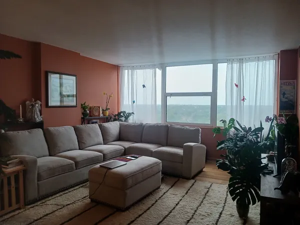 a living room with furniture potted plant and a window