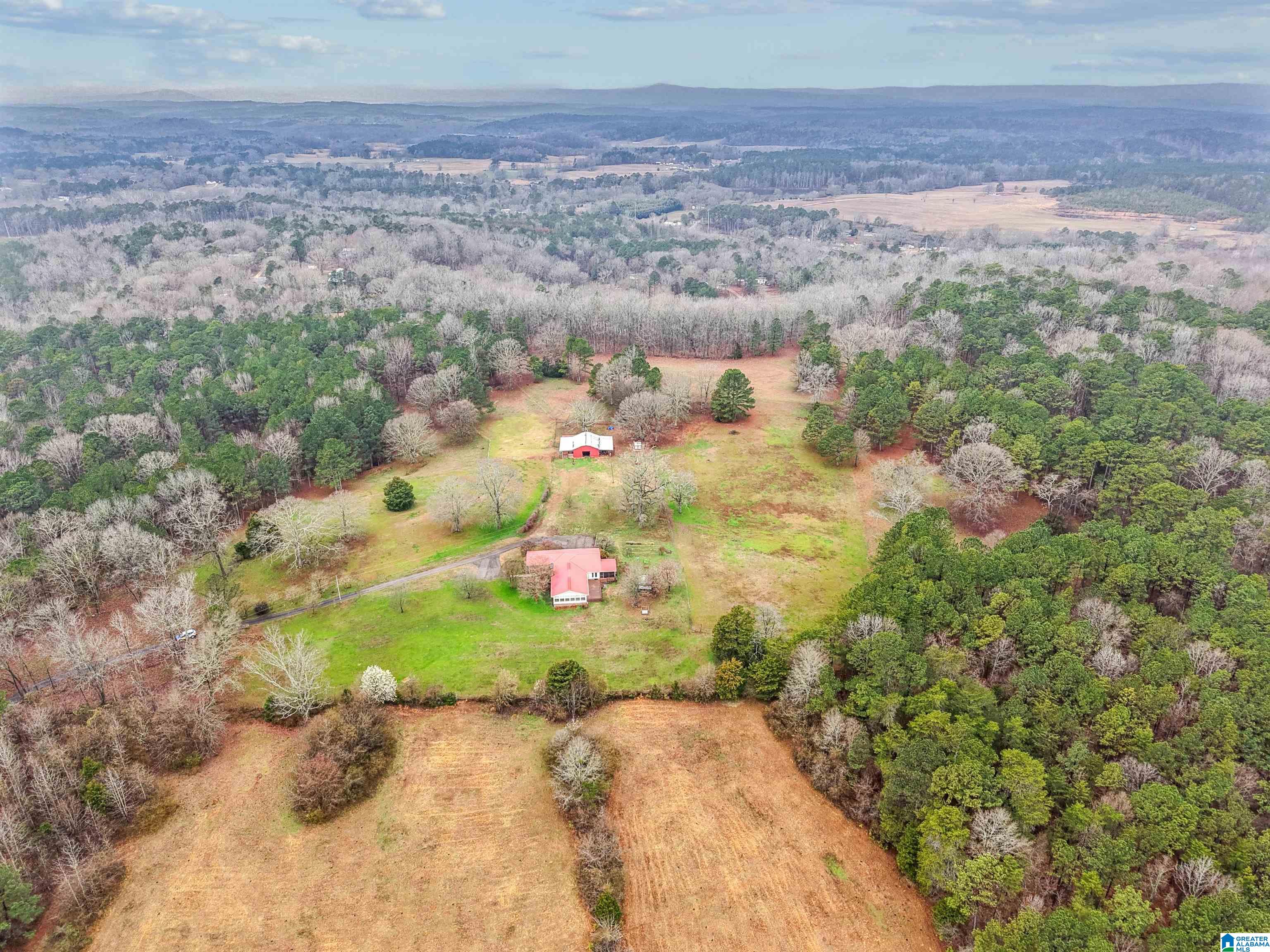 3953 Logan Martin Dam Road Cropwell, AL 35054 - Photo 56 of 99