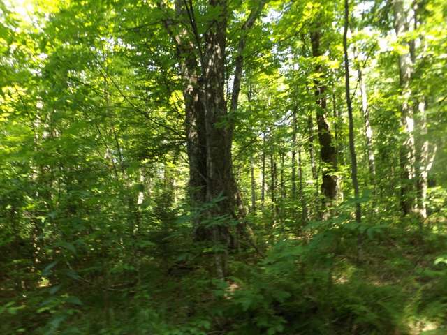 6380 Double Bend Road Argonne, WI 54511 - Photo 18 of 20 Gallery Image 18