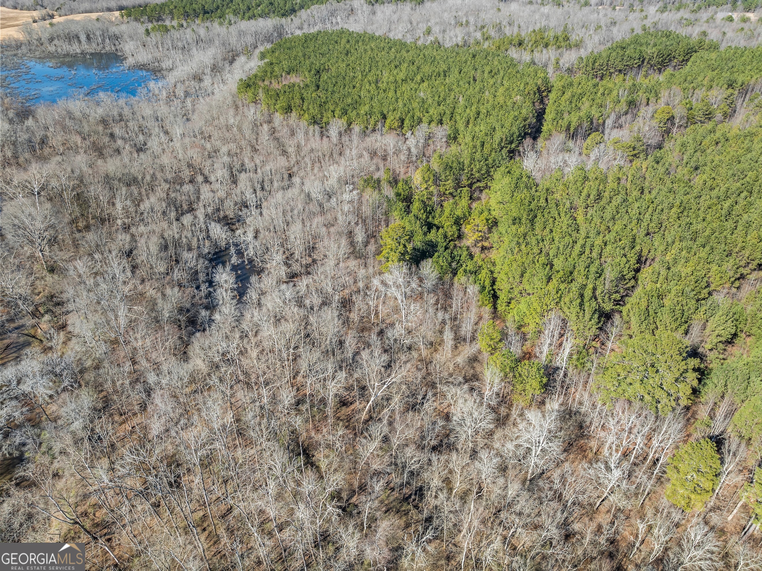 0 Freedom Lane, Unit 9D Commerce, GA 30530 - Photo 3 of 7 a view of a forest with a tree