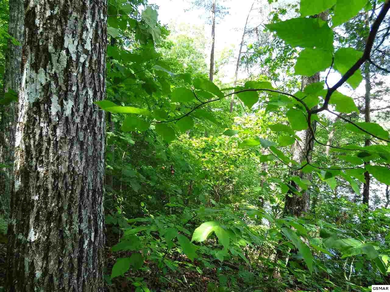 0 Kerr Road Sevierville, TN 37876 - Photo 11 of 11