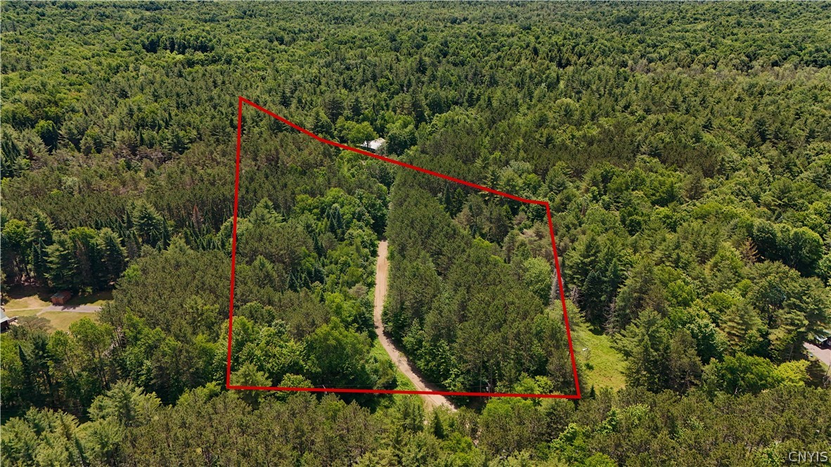 Bellingertown Road Forestport, NY 13338 - Photo 4 of 12
