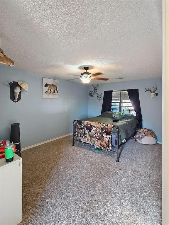 8908 County Road 103 Hamlin, TX 79520 - Photo 14 of 24