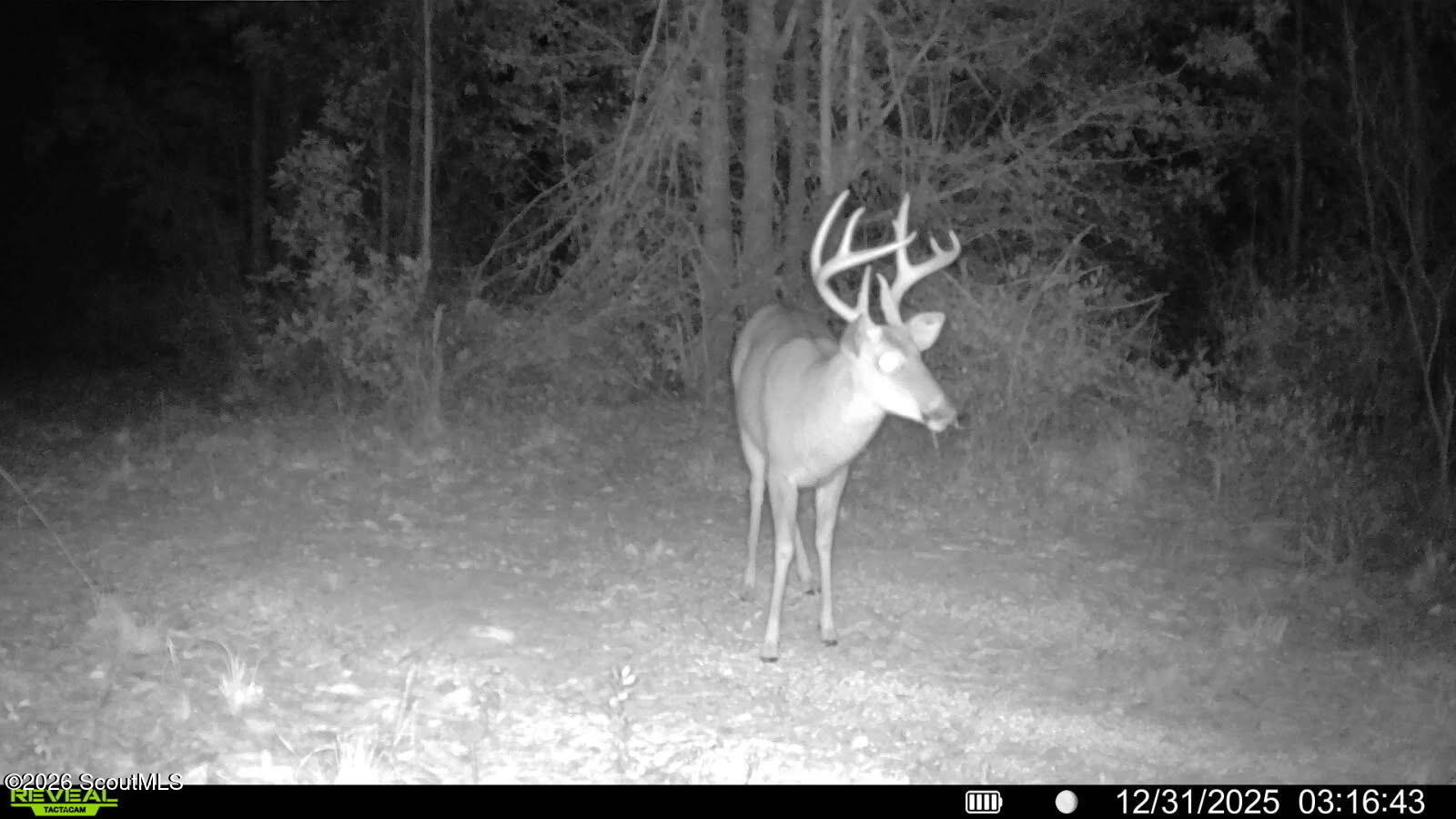 88 Minnesota Road Screven, GA 31560 - Photo 52 of 52