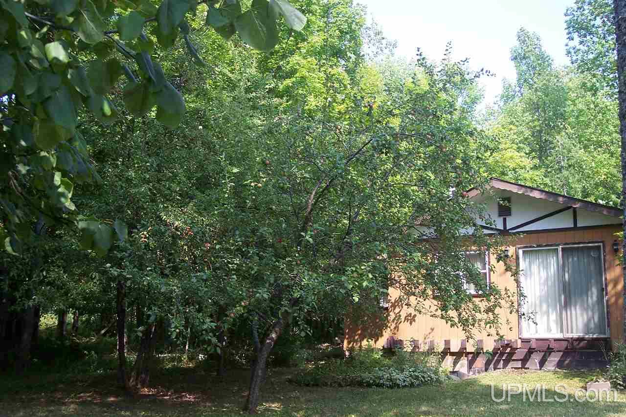 9945 East Shore Road Marenisco, MI 49947 - Photo 20 of 20 Gallery Image 20