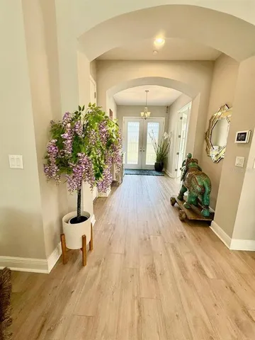 a view of a room with wooden floor and a potted plant
