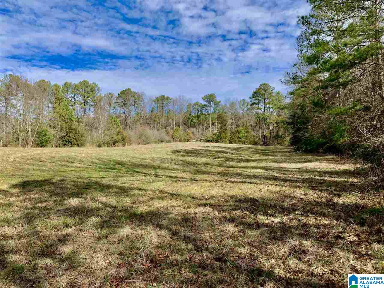 0 County Road 16 Calera, AL 35040 - Photo 5 of 22