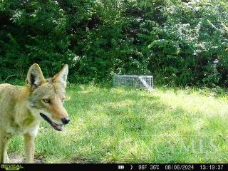 5856 Blue Rock Road Cincinnati, OH 45247 - Photo 51 of 51 Wild Coyote
