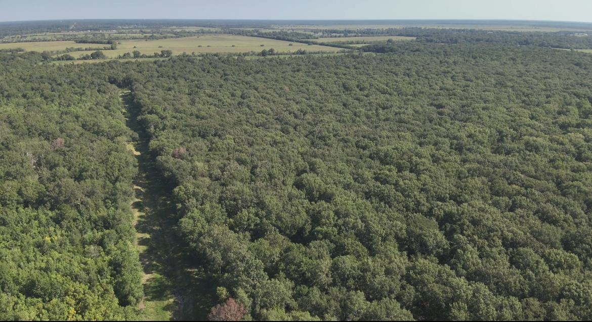 0 McGuire Road Liberty, TX 77575 - Photo 26 of 40