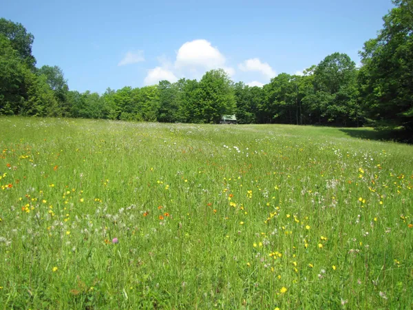 $845,000 | 1607 Massey Road, Springfield, VT 05156