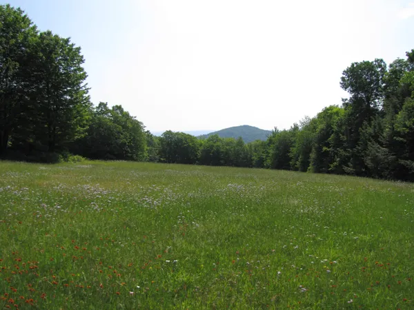 $845,000 | 1607 Massey Road, Springfield, VT 05156
