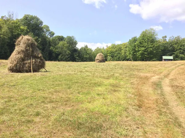 $845,000 | 1607 Massey Road, Springfield, VT 05156