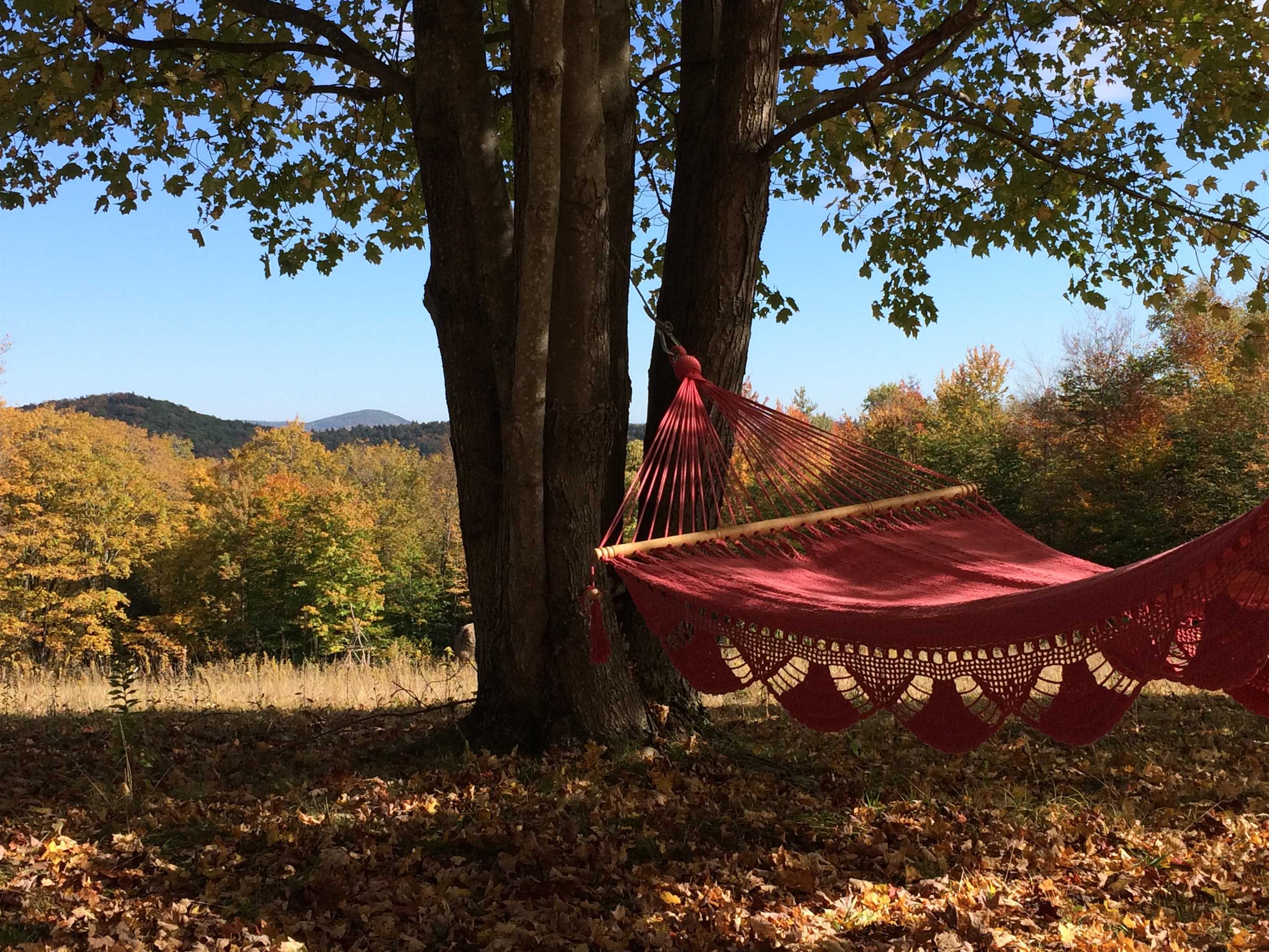 1607 Massey Road Springfield, VT 05156 - Photo 57 of 60